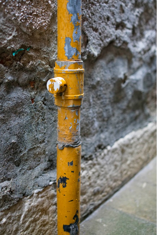 Steven Seidenberg 19